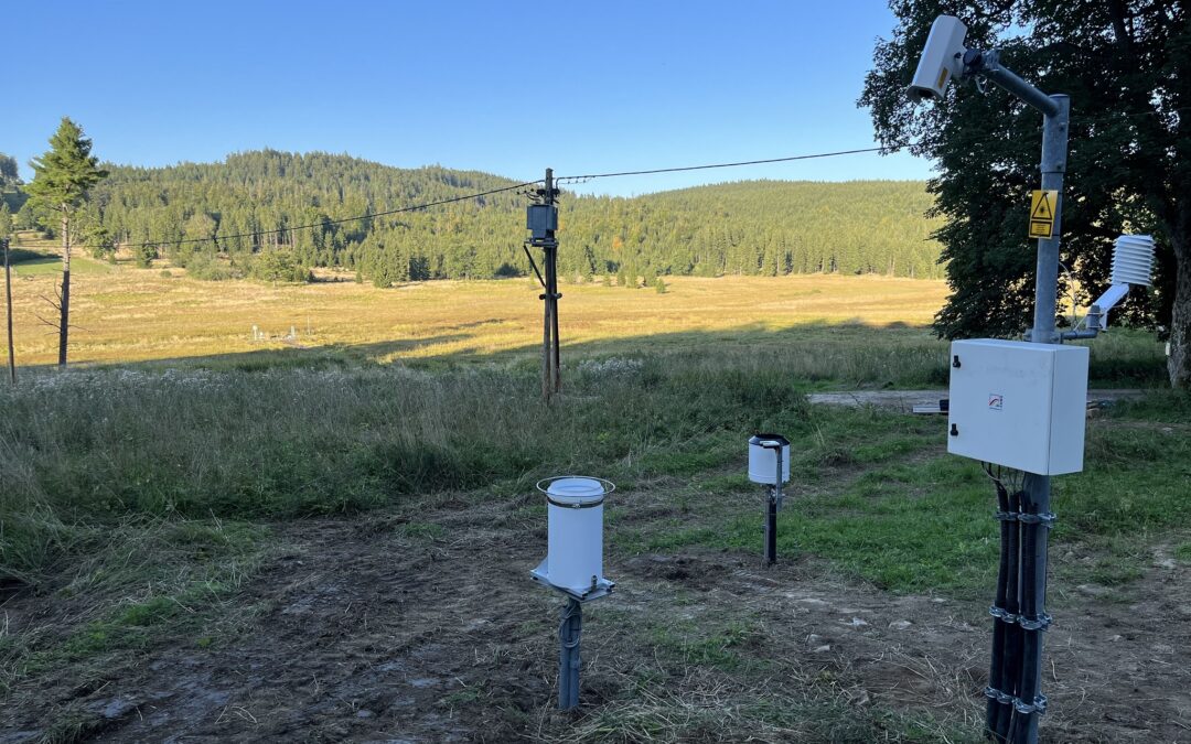 Neuzugänge im Freiwald